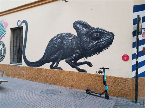 Chameleon By Roa Street Art Cities