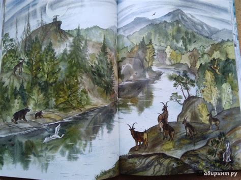 Книга: Сказки озера Байкал - Василий Стародумов. Купить книгу, читать ...