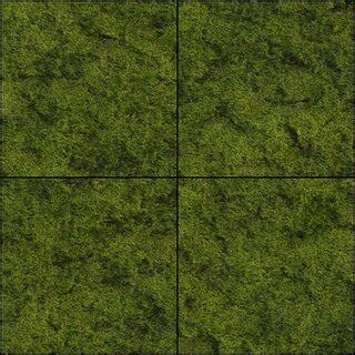 comparisons   generative texture models  show decay results