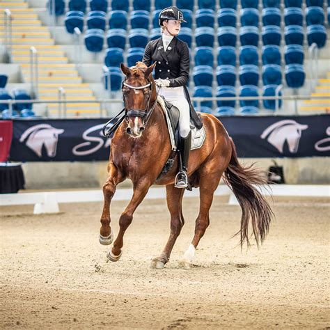 Jessica Dertell And Cennin Portfolio Dressage Saddlefitter