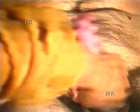 It Flick Tales Of Special Vintage Italian Porn Hotntubes