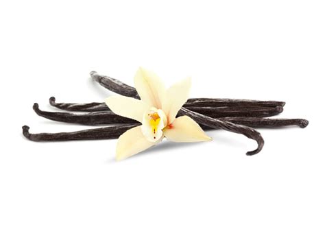 Стручковая ваниль