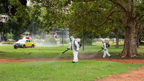 Dengue el frío llegó pero hay dos razones por las que todavía no está