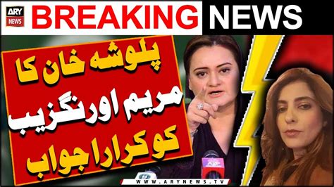 Palwasha Khan Ka Maryam Aurangzeb Ko Karara Jawab Video Dailymotion