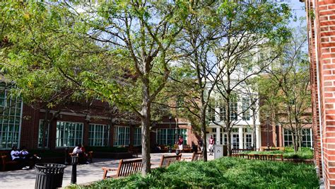 Fall freshman enrollment dips at UMES