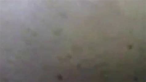 Sexo En La Panaderia Porn Videos