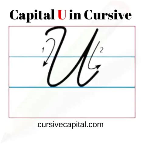 Capital U in Cursive Worksheet and Tutorial