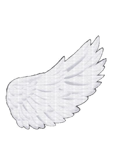 Wing Animated Wing White Animated Moonflower26 Free Animated