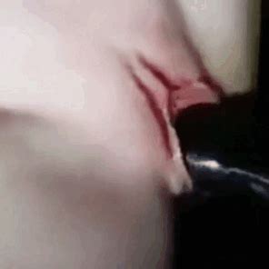 Black Bull S Weak Pullout Game Xxx Bbc Cpies Porn Pic