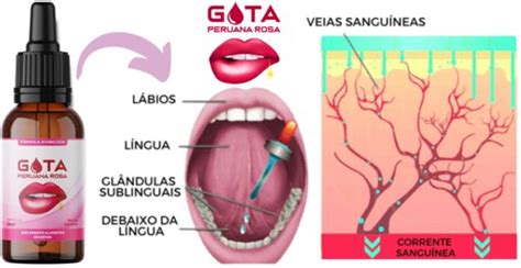 Gota Peruana Rosa Funciona Onde Comprar Preço Site Oficial