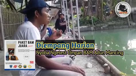 Test Umpan BAM Amis Kuning Premium Dimancing Harian Produk Adun