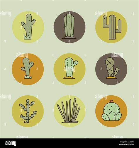 Mexico Plants Stock Vector Images Alamy