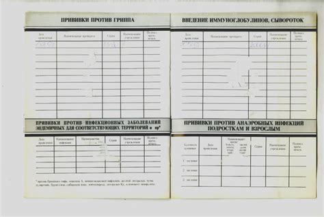 Образец сертификат прививок