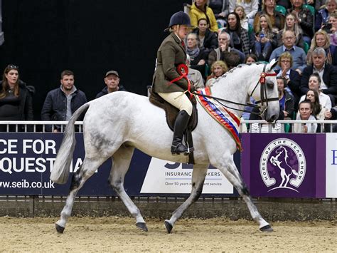 Riding Here Is A Dream Come True Nurse Crowned Champion Of Popular Amateur Series At Hoys