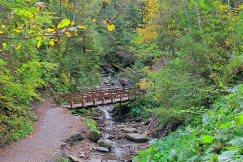 Picturesque Wooden Bridge Over A Stream In The Autumn Forest Stock