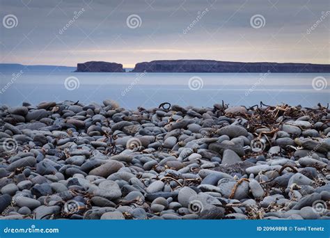iceland pebbly beach stock photo image  night midnight