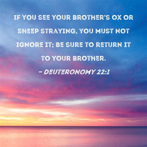 Deuteronomy 22 1 If You See Your Brother S Ox Or Sheep Straying You