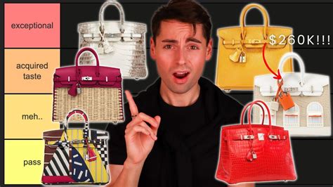 RAREST HERMES BIRKIN BAGS RANKED | Birkin Faubourg, Birkin Picnic ...