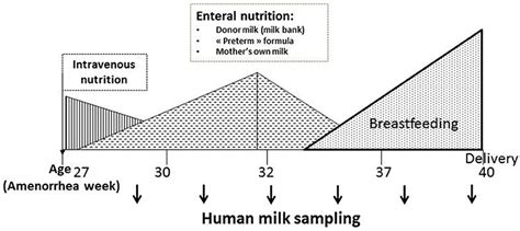 Frontiers Human Milk An Ideal Food For Nutrition Of Preterm Newborn