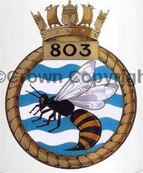 Coat Of Arms Crest Of No Squadron Faa