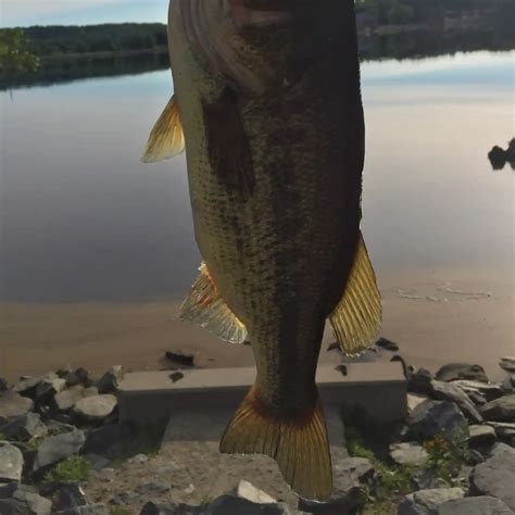 Kenoza Lake Fishing Reports🎣• Haverhill Ma United States Fishing