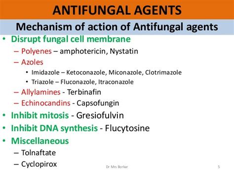 Anti Fungal Agents