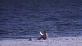 Classic Vintage Gay Porn XNXX