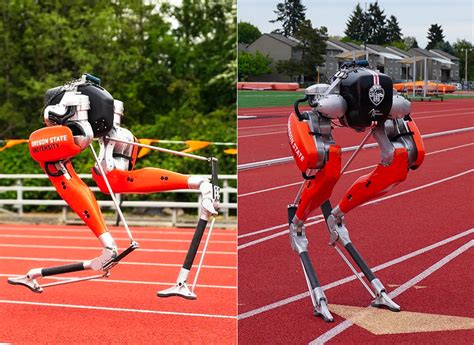 Cassie Oregon State S Bipedal Robot Sets New World Record In 100