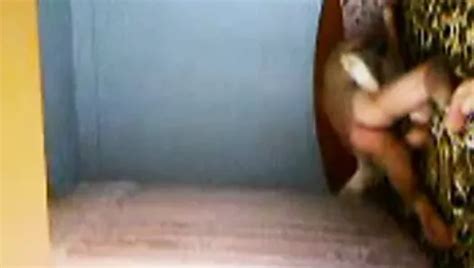 11 02 2016 Aurel Geny With Crampie Vol 17 Romanian Creampie Porn XHamster