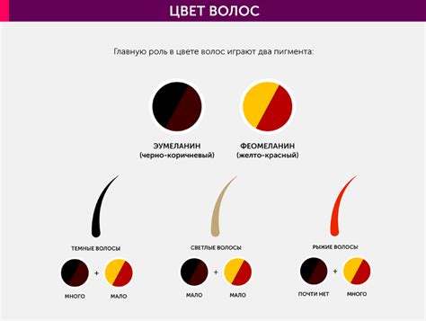Пигмент волоса | Hair styles, Style, Hair