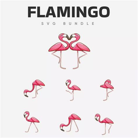 Flamingo Svg Bundle Masterbundles
