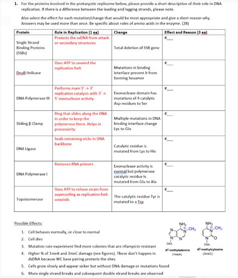 Solved 1. For the proteins involved in the prokaryotic | Chegg.com