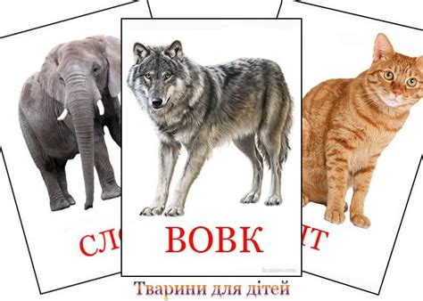 Картинки тварин для дітей Animals Animal Cards Dogs
