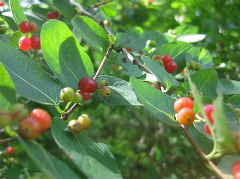 New and ...Improving?: Photos: Wild Outdoors of Wisconsin