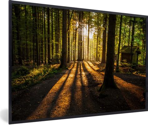 Fotolijst Incl Poster Zon Bomen Bos Landschap Natuur