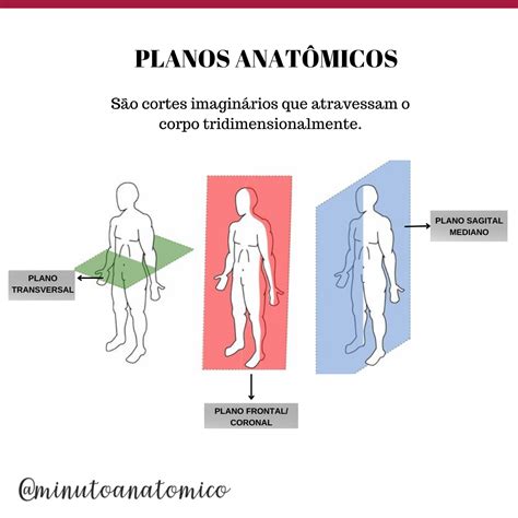 Planos Anatomicos E Eixos - 8