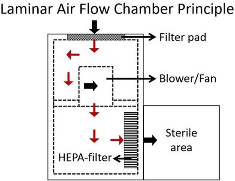 laminar airflow chamber definition principle video parts