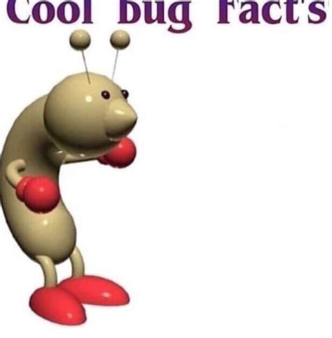 Rafael JoJolands On Twitter Cool Bug Facts A PETA Sacrificou