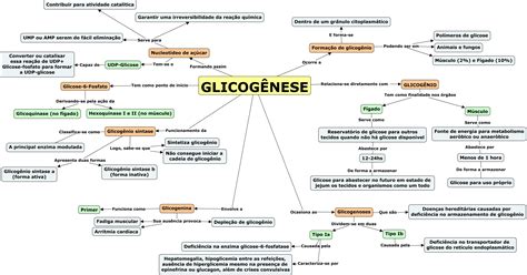 Gliconeogênese O Que é Librain