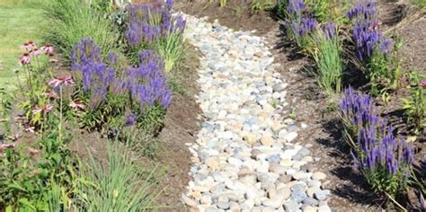 Easy Ways You Can Make A Drainage Ditch Look Good Grow Your Yard