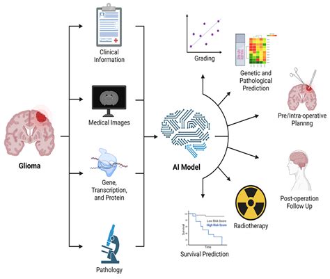 Biomedicines Free Full Text Magnetic Resonance Imaging Of Primary