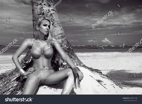 Sexy Model Elegant Bikini On Suntanned Stock Photo Edit Now 690067138 Shutterstock