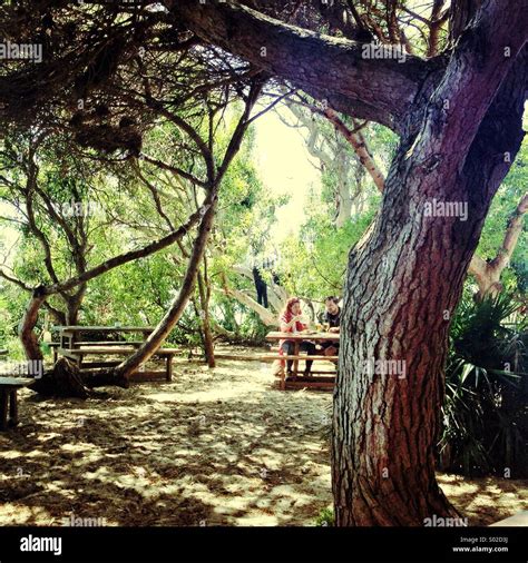 Picnic Under Trees Hi Res Stock Photography And Images Alamy