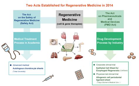 What Are The 4 Types Of Regenerative Therapies Health Blog