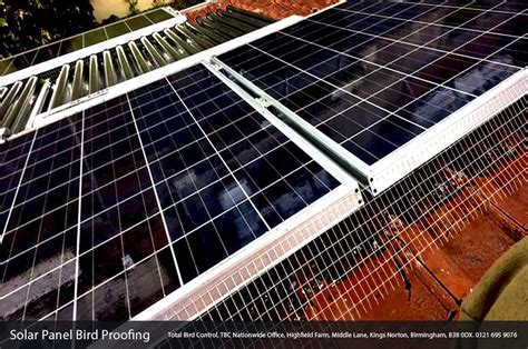 Solar Panel Bird Proofing Why You Need It If You Are Considering