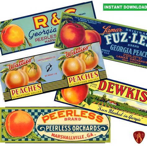 Digital Labels Cars Theme Birthday Party Fruit Crate Canned Peaches