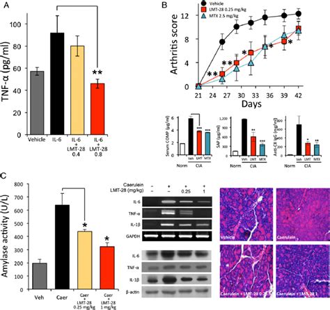 Anti Inflammatory Activity Of Lmt 28 In Vivo A Inhibition Of