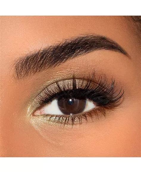 Untitled in 2023 | Eyebrows, Makeup, Perfect eyebrow shape