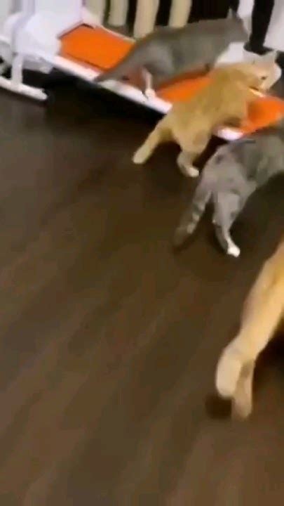 трусишки 🤣🤣 - YouTube