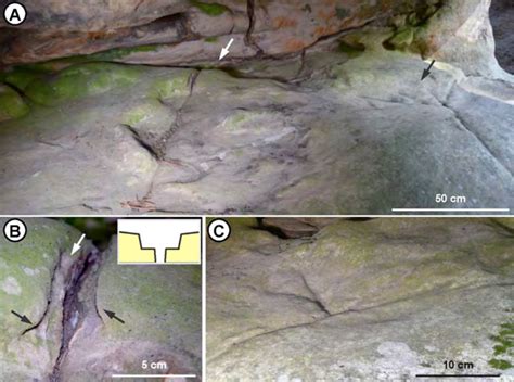 la segognole  collecteurs lateraux  lamont du boyau superieur